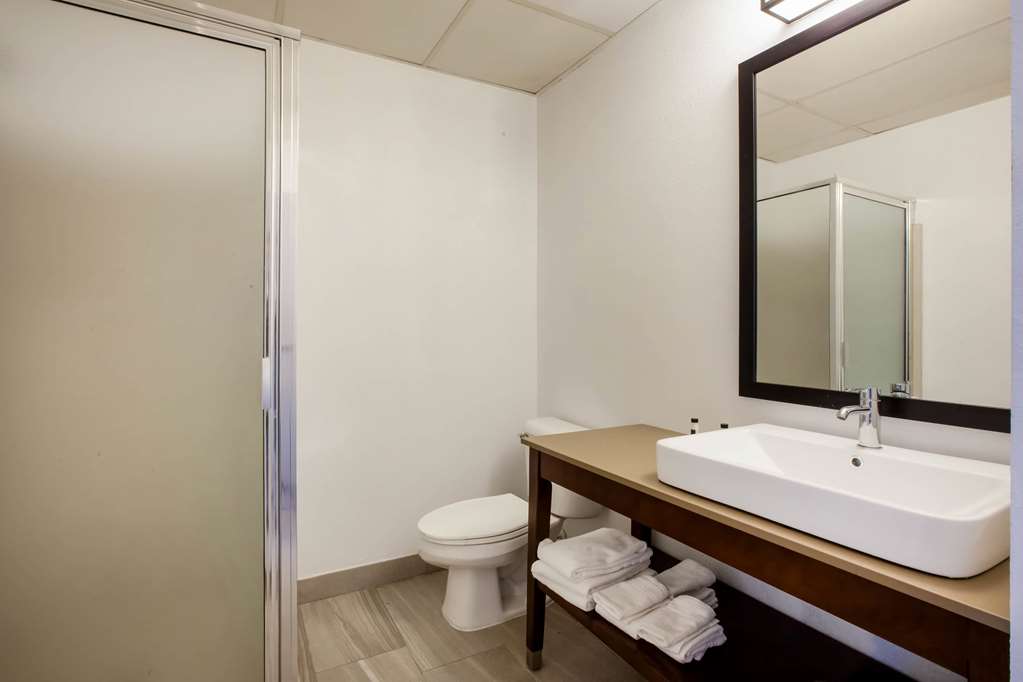 Days Inn & Suites by Wyndham Rochester Hills MI - photo 14
