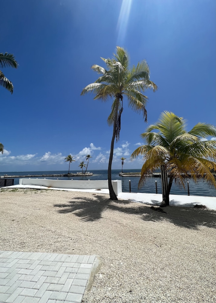 Chesapeake Beach Resort - photo 100