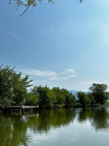 7 Lakes