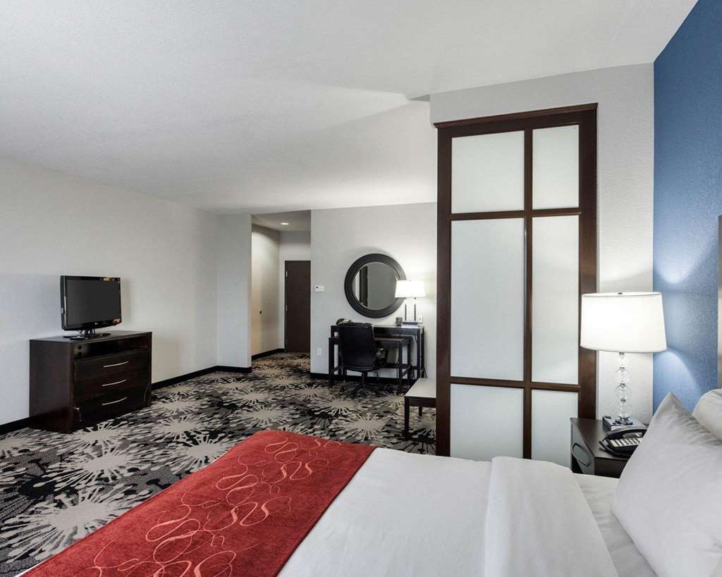 Comfort Suites Greenville - photo 15