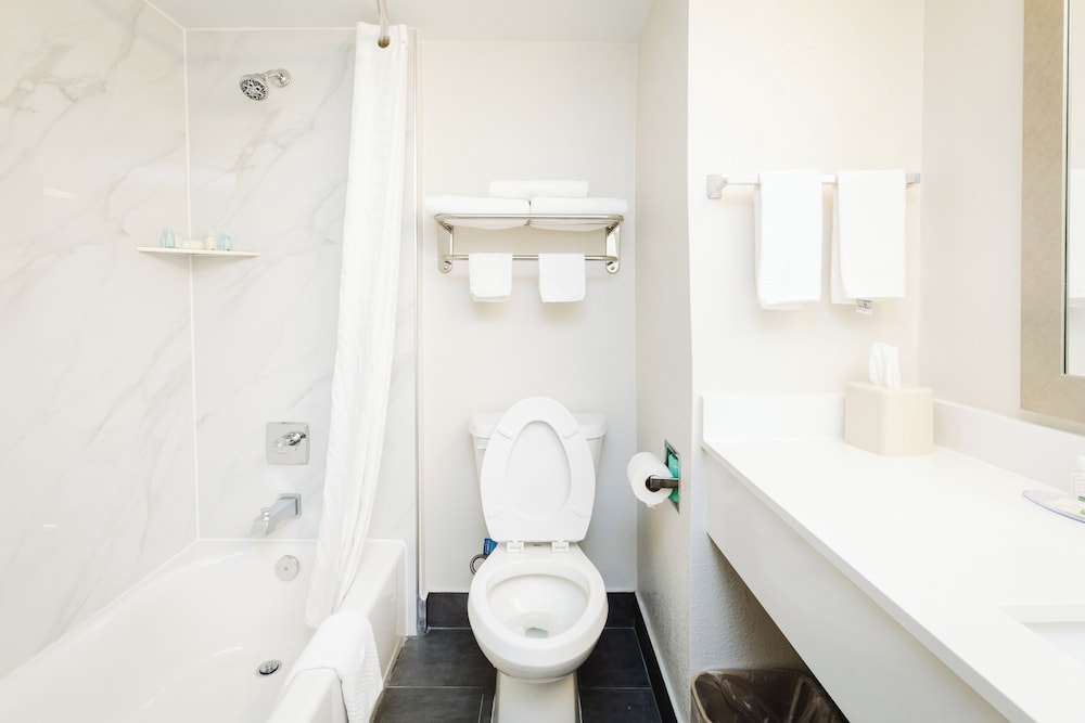 Quality Suites Houston Hobby Airport - photo 17