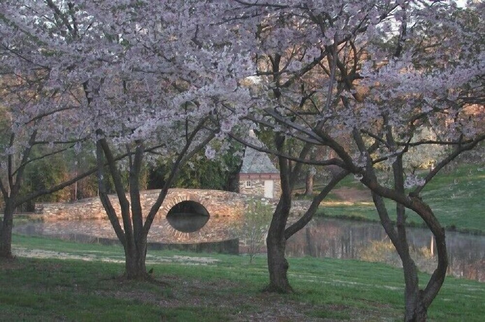 Graylyn Estate - photo 50