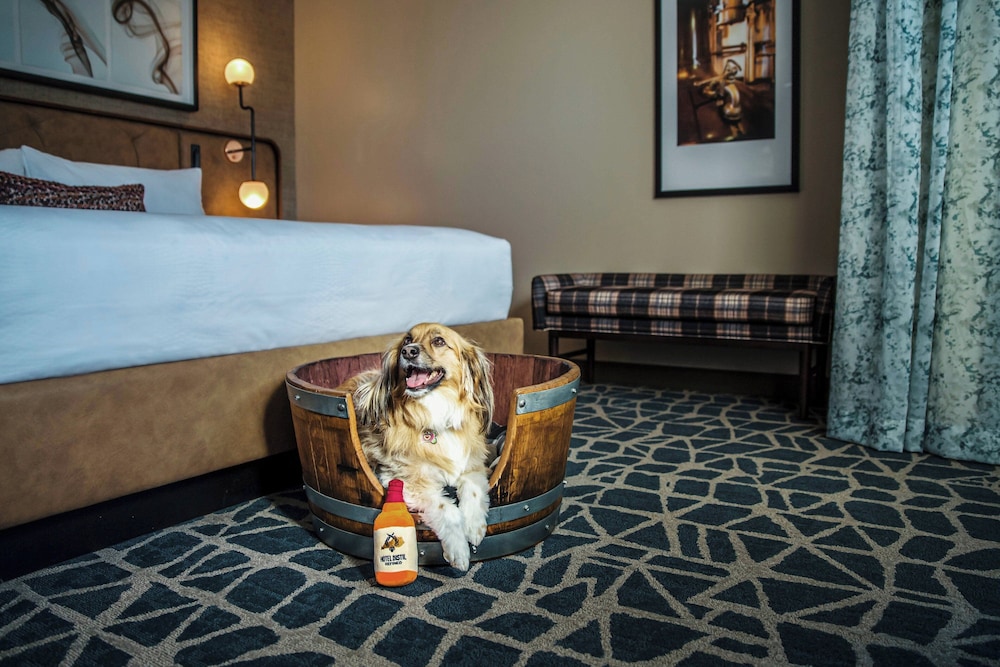 Hotel Distil Autograph Collection - photo 26