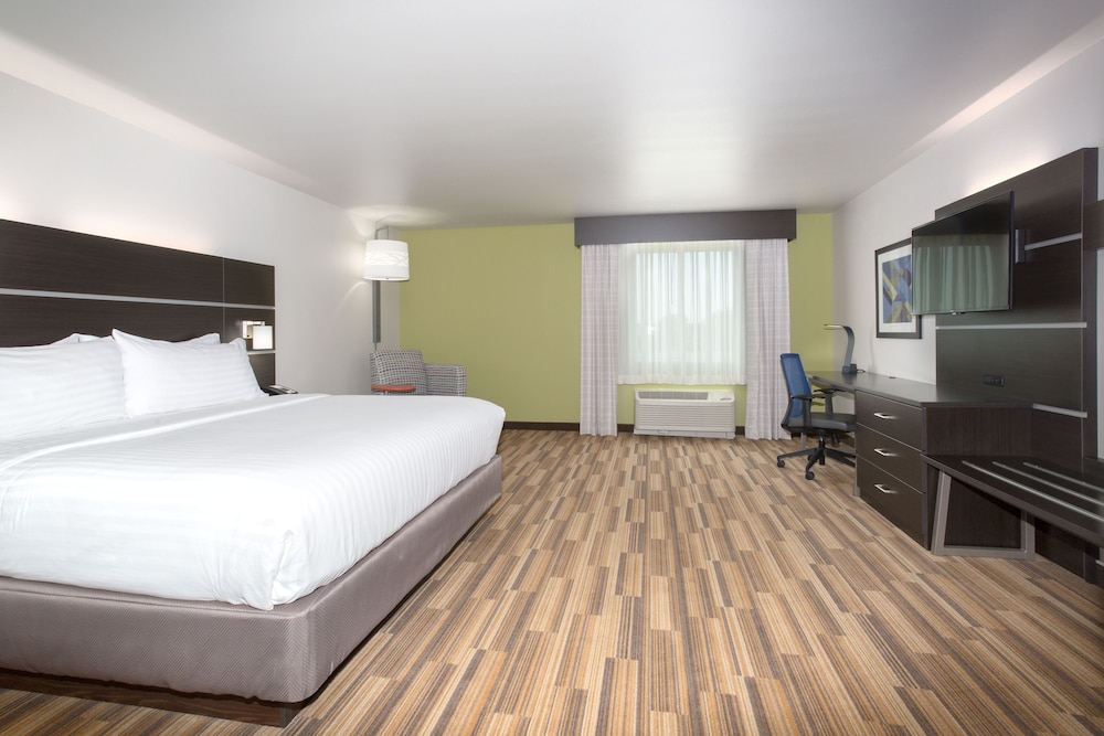 Holiday Inn Express & Suites Rapid City Rushmore South by IHG - photo 8