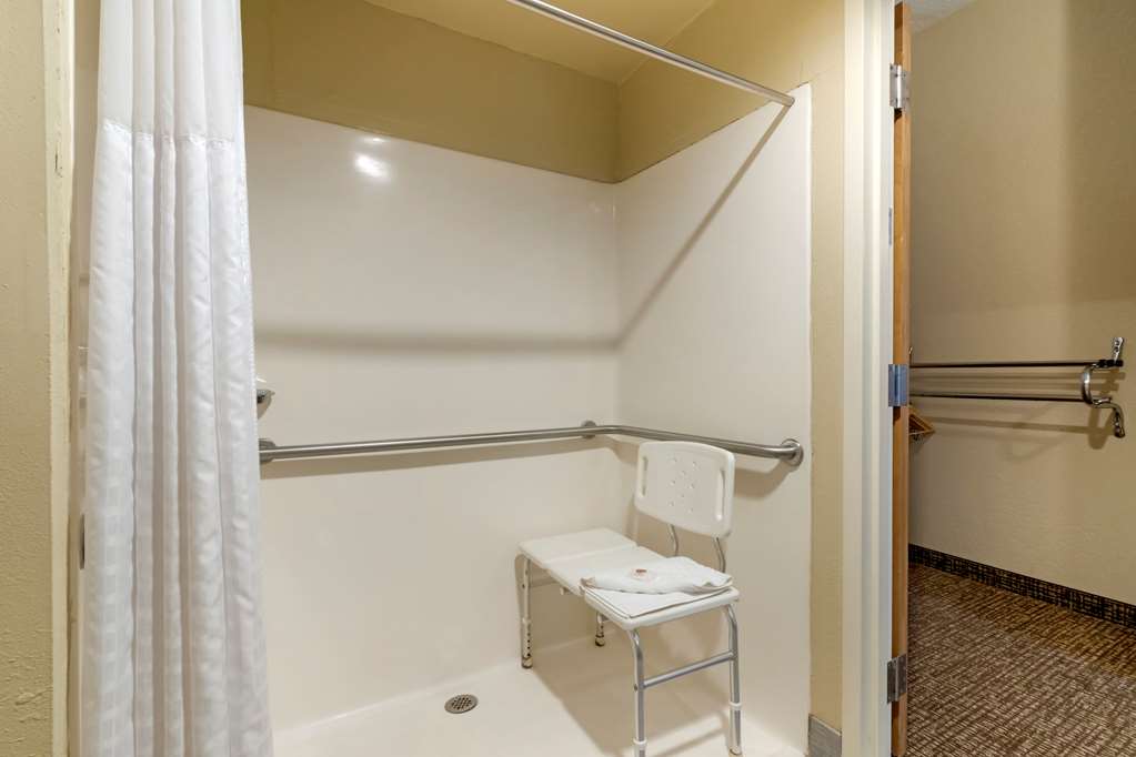 Comfort Inn Mechanicsburg Harrisburg South - photo 9