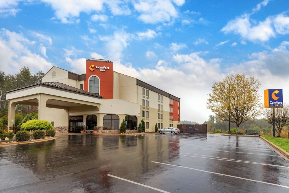 Comfort Inn North of Asheville - photo 69