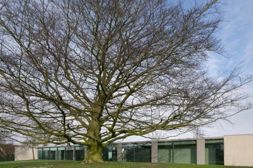 Notarishuys pure Hotel — hotel in Diksmuide