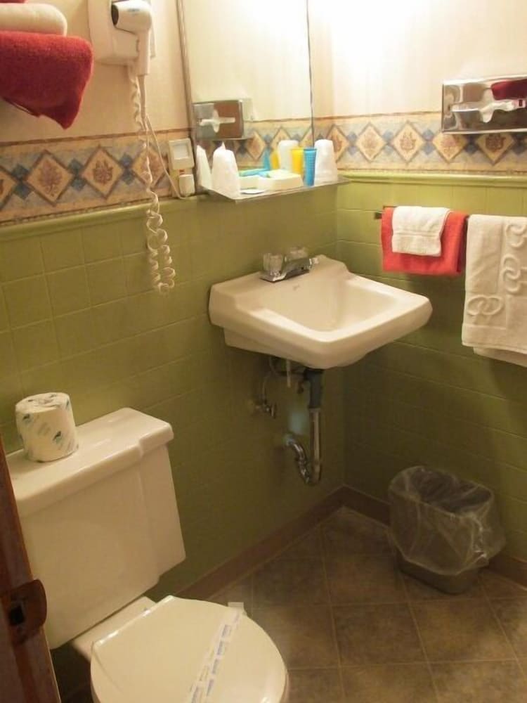 Elms Motel - photo 7