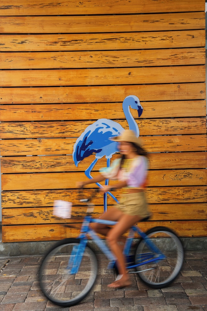 Blue Flamingo Resort Key West - photo 65