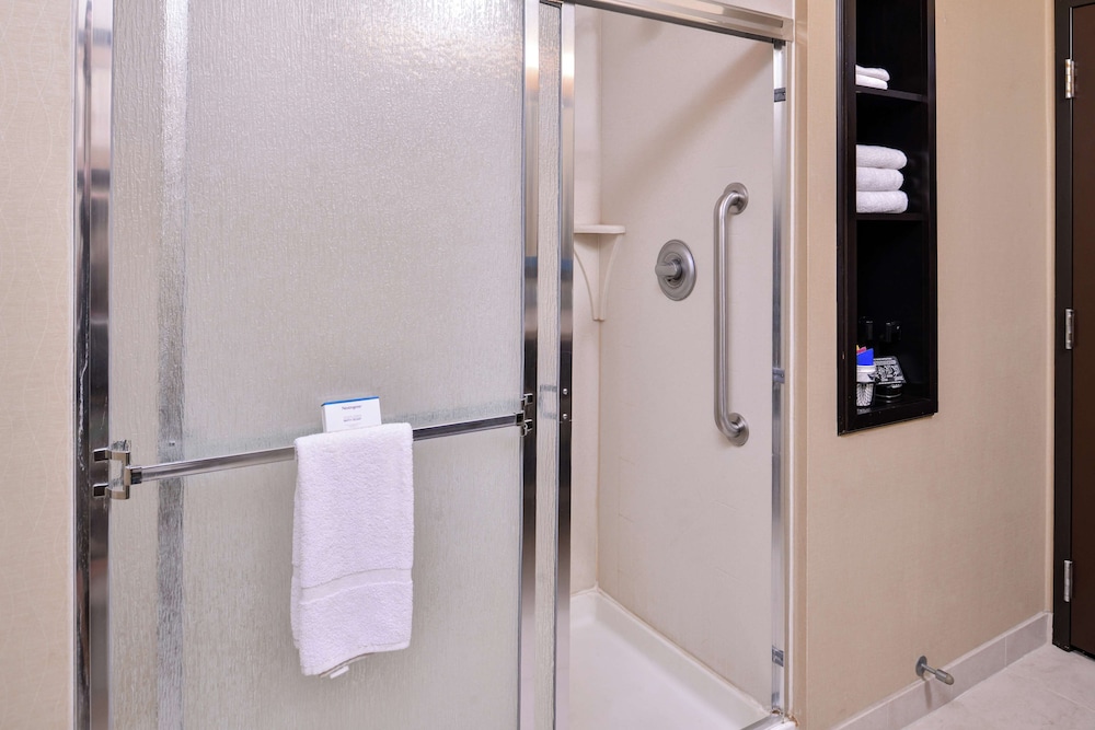 Hampton Inn & Suites Big Spring - photo 38