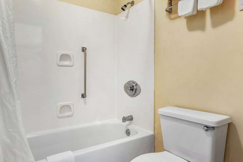 Econo Lodge Inn & Suites Forest - photo 18