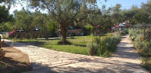 Kavoulakos Studios — Skoutari — photo 3