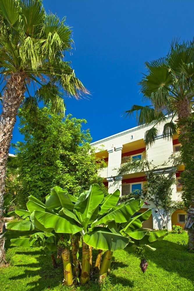 Apollon Hotel - last minute hotel in Kos