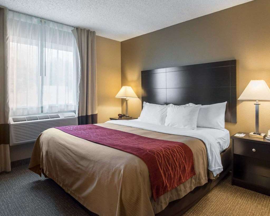 Comfort Inn Saugerties - photo 7
