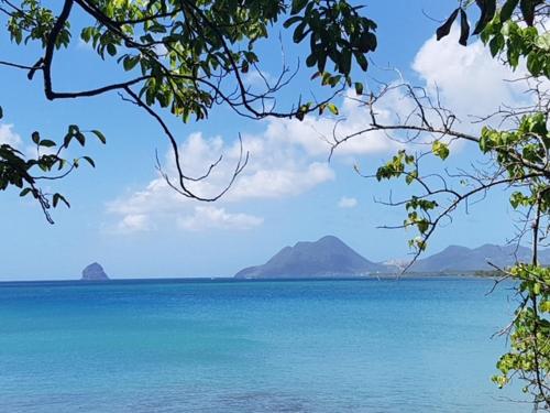 Villa Tigo T3 Colibri — 4-Star Luxury Hotel in Sainte-Luce, Martinique