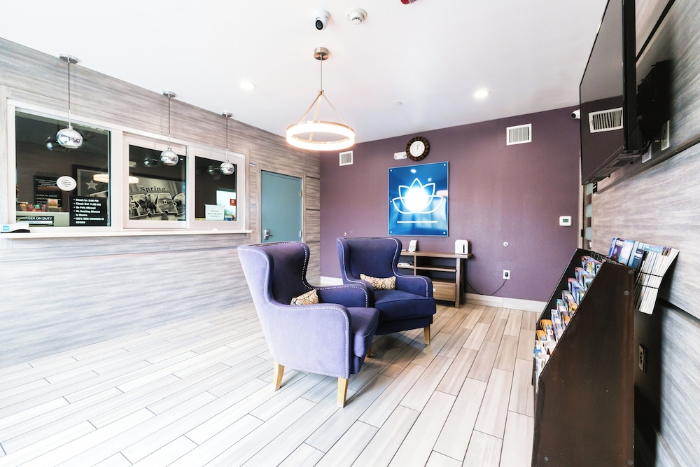 Hotel Blue Spring - photo 8