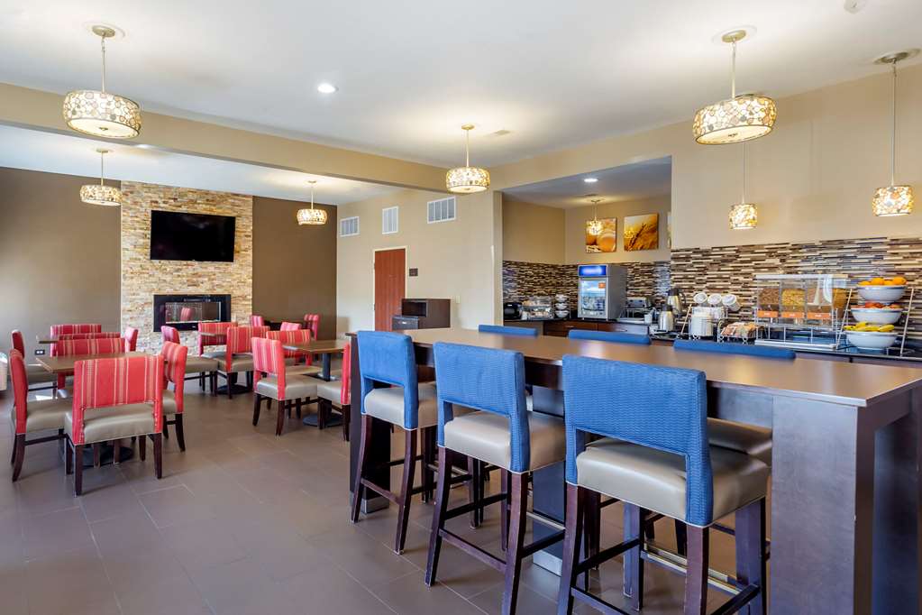 Comfort Inn & Suites North Aurora Naperville - photo 27