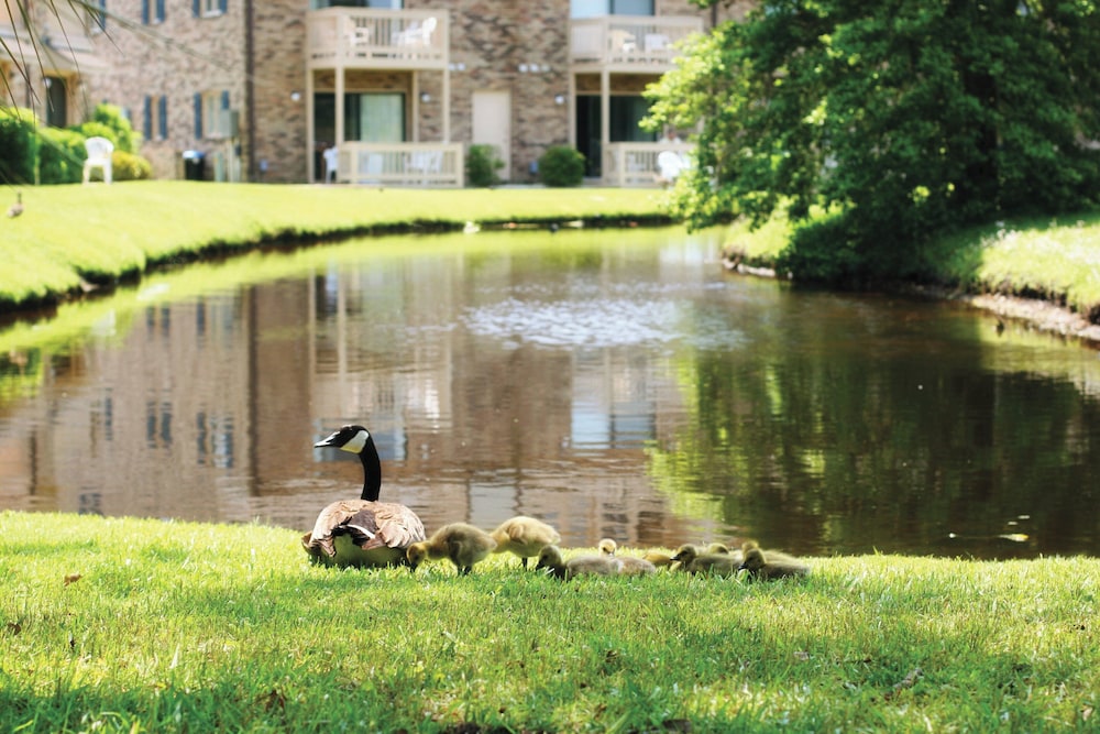 Club Wyndham Plantation Resort - photo 38