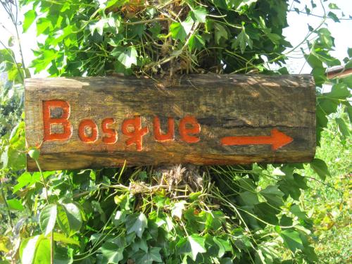 Ecohostal Huellas Del Bosque — Valdivia — photo 5