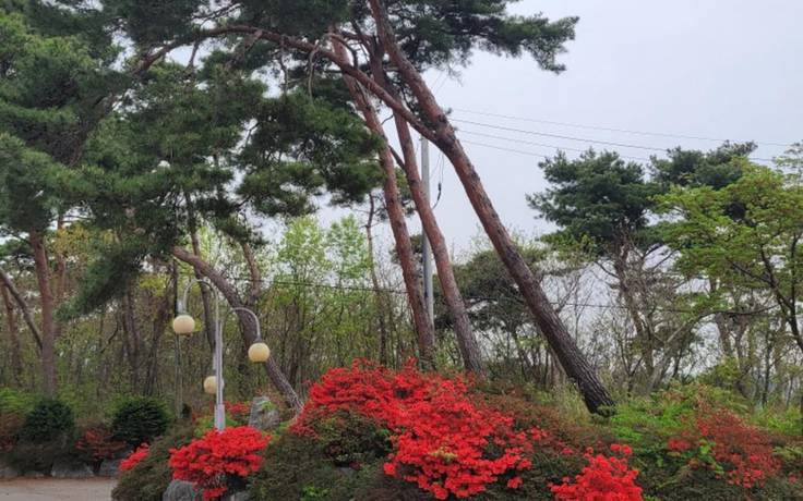 Hongseong Solbatcheonsu in Hongseong, South Korea