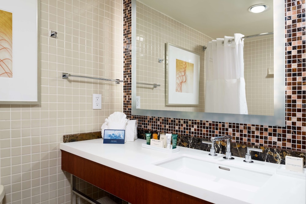 DoubleTree by Hilton Washington Dulles Airport - photo 19