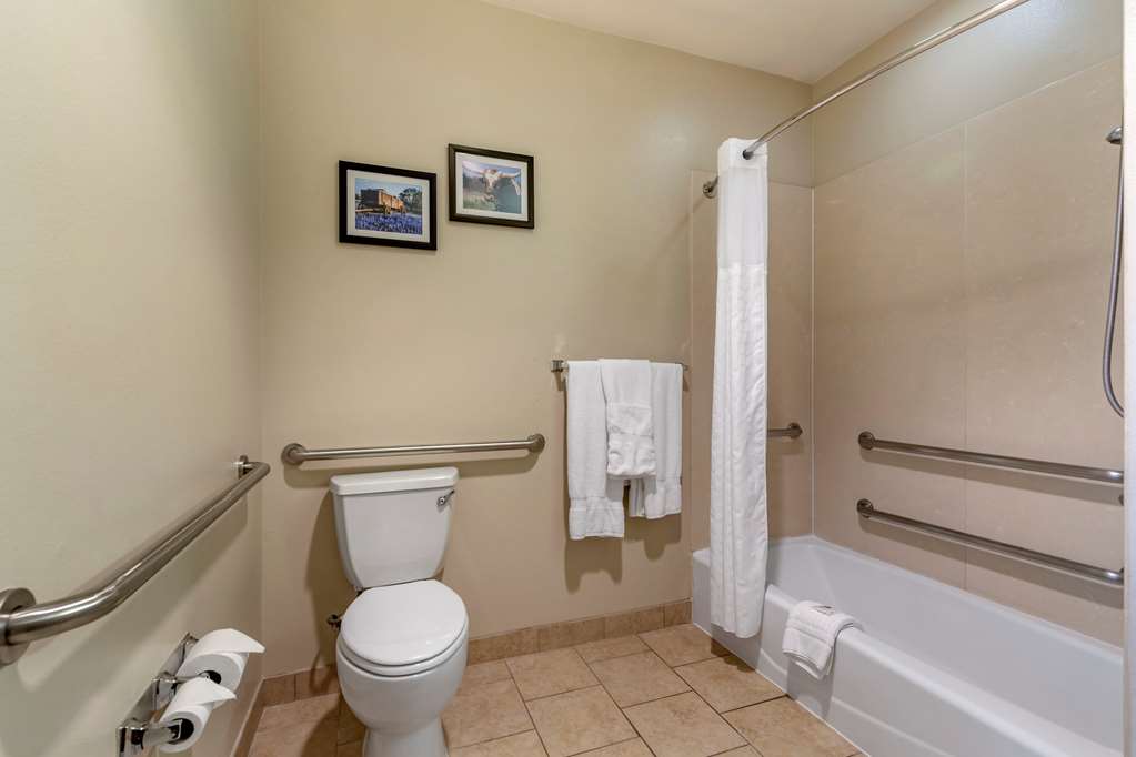 Comfort Suites Buda Austin South - photo 15