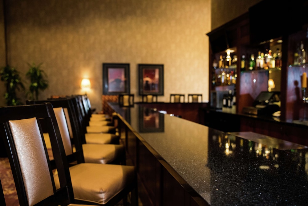 Embassy Suites by Hilton Minneapolis North - photo 45