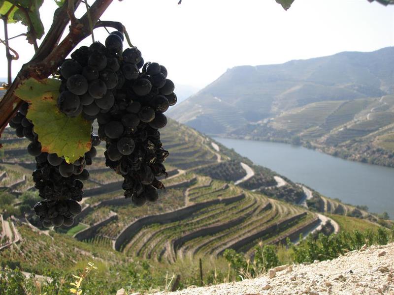 La Fontaine Hotel in Ovar, Portugal