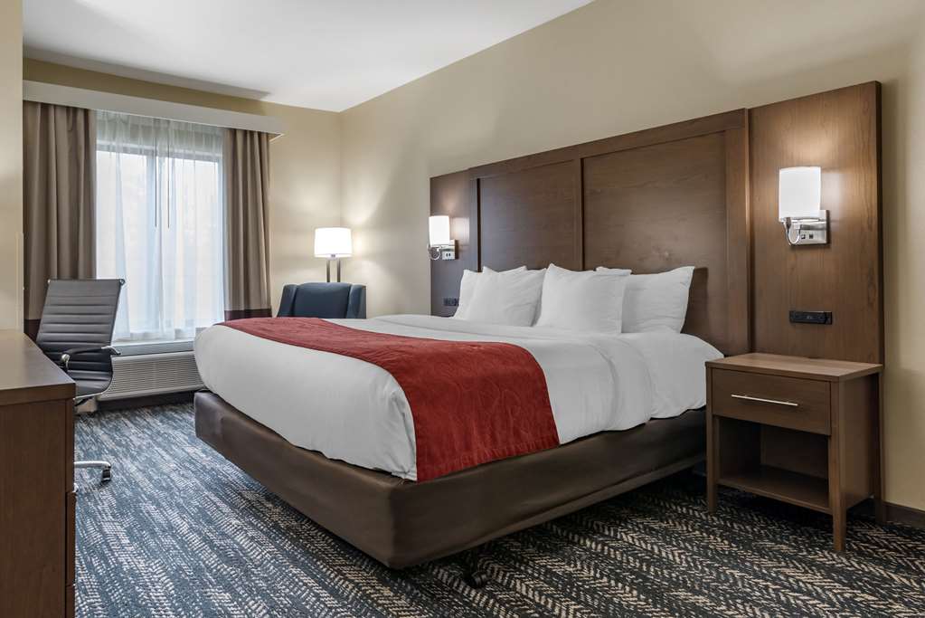 Comfort Inn & Suites Downtown near University - photo 9