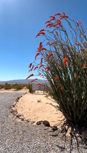 2 Acres Tiny Home Cold Plunge Telescope HotTub Guitar — 4-Star Luxury Hotel in Twentynine Palms, United States