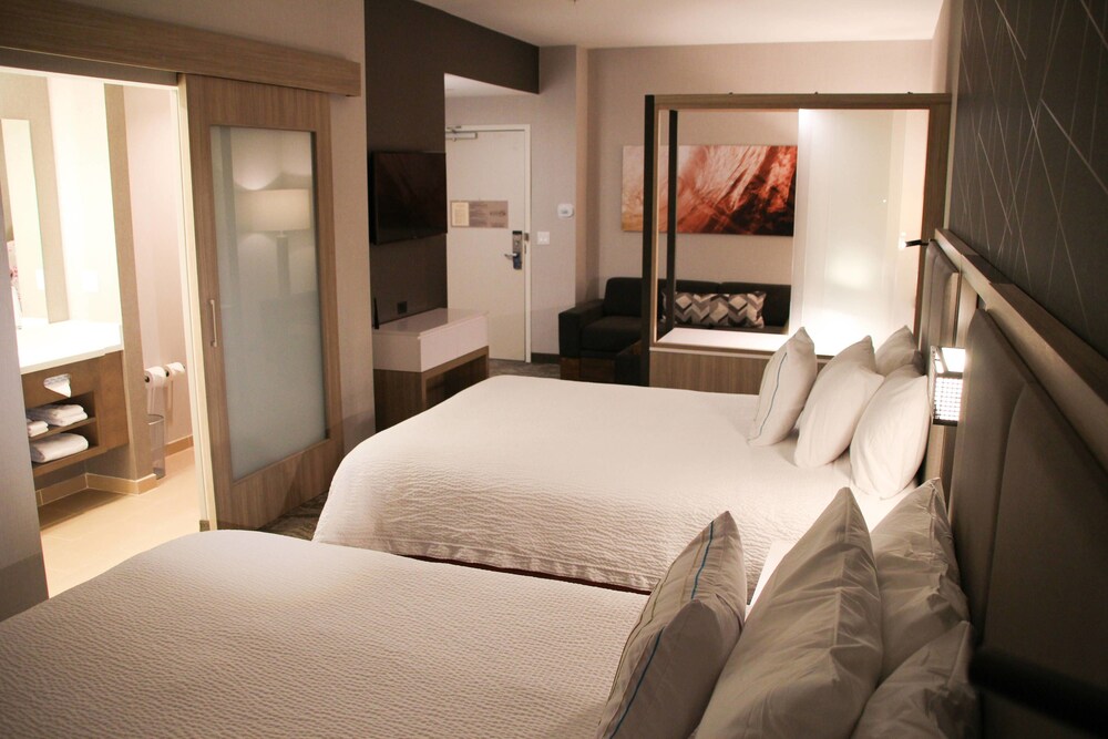 SpringHill Suites Baltimore White Marsh Middle River - photo 3