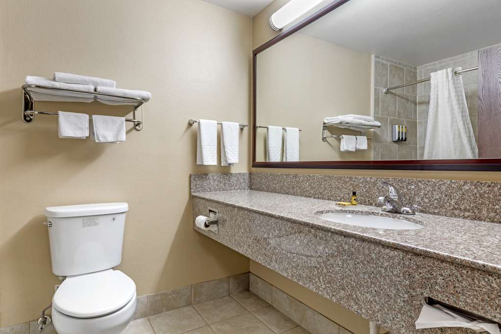 Best Western Plus Burleson Inn & Suites - photo 23