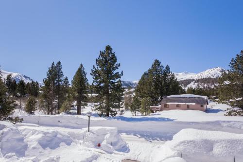 Mammoth Green 105 - photo 21