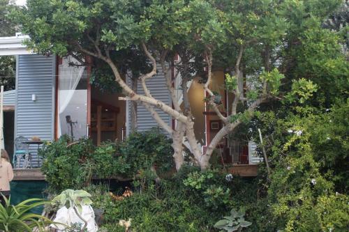 Quirky Eco Friendly Artist Studio