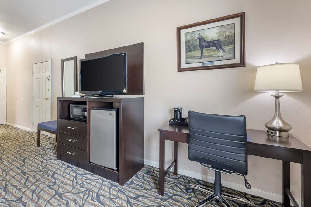 Best Western Spring Hill Inn & Suites - photo 17