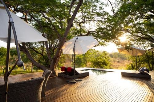 Sangasava Safari Lodge — 5-Star Luxury Hotel in Hoedspruit, South Africa