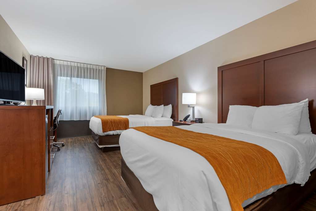 Comfort Inn Binghamton I 81 - photo 9