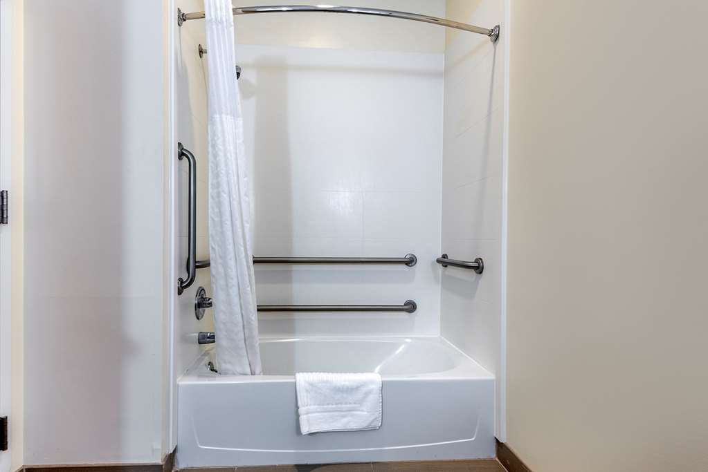 Comfort Inn Apalachin Binghamton W Route 17 - photo 6