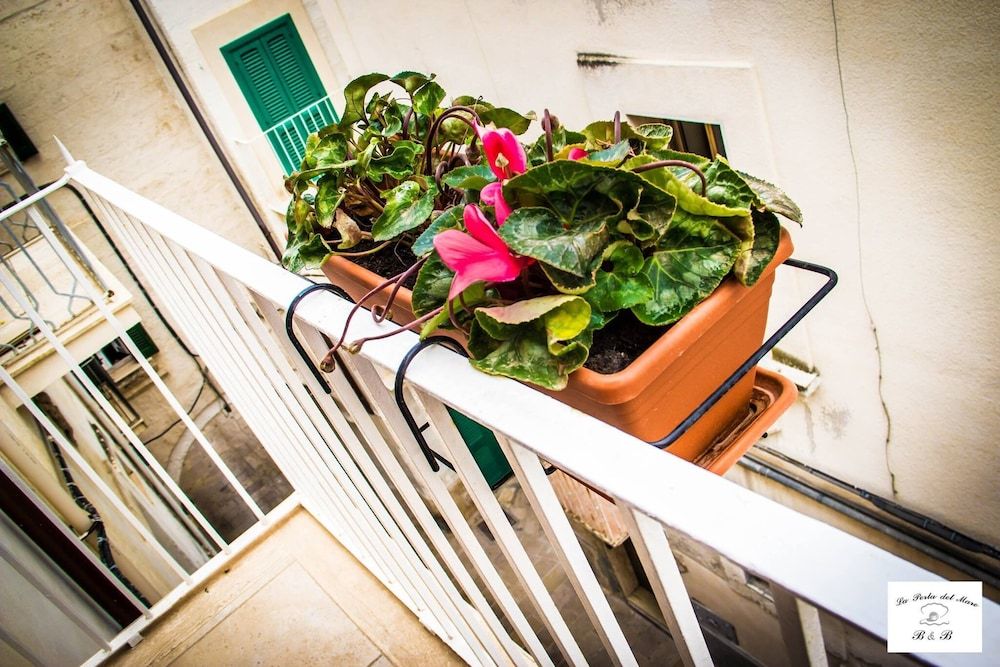 La Perla del Mare - last minute hotel in Monopoli