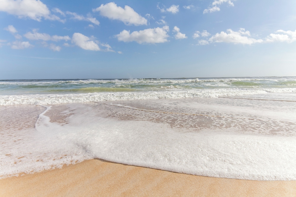 Ocean Pearl - photo 62