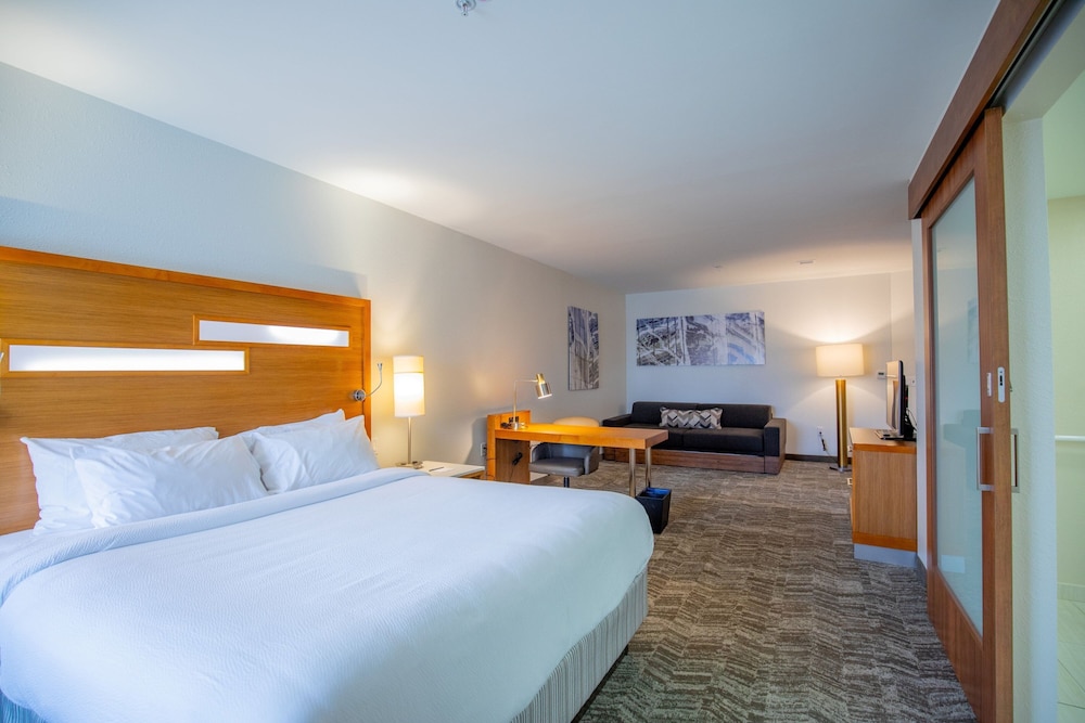 SpringHill Suites by Marriott Baton Rouge Gonzales - photo 15
