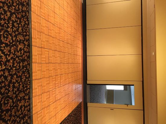 Ramada St. Louis Airport - photo 13