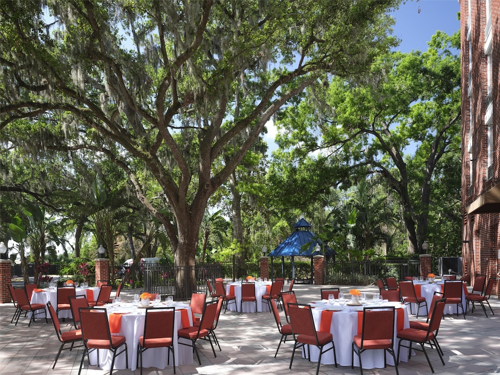 Hilton Garden Inn Tampa East Brandon - photo 40