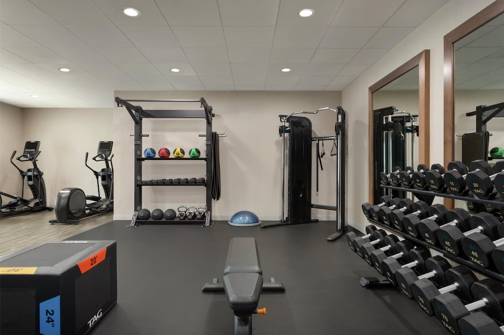 Hampton Inn & Suites Tampa Busch Gardens Area - photo 38