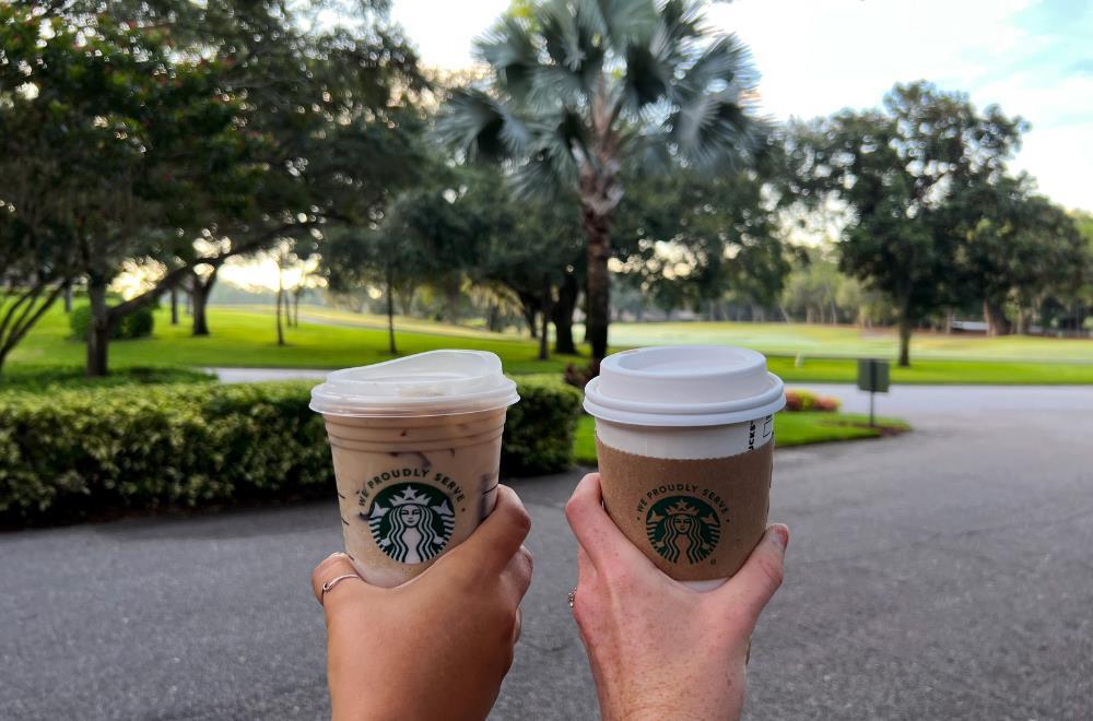 Innisbrook Resort - photo 96