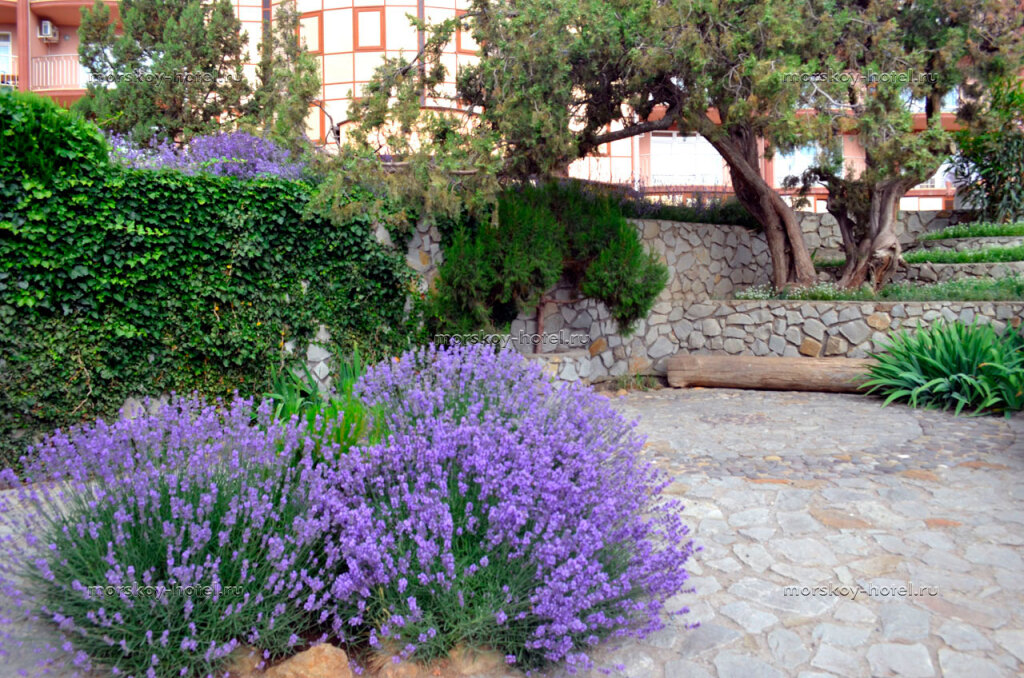 Hotel Morskoy Hotel in Alushta, Ukraine