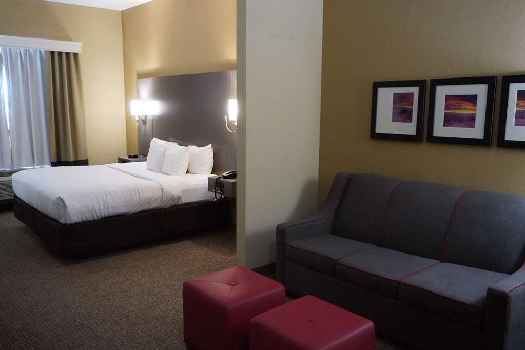 Comfort Inn & Suites Monahans I 20 - photo 16