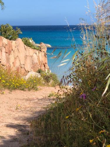 Palombaggia in Porto-Vecchio, France