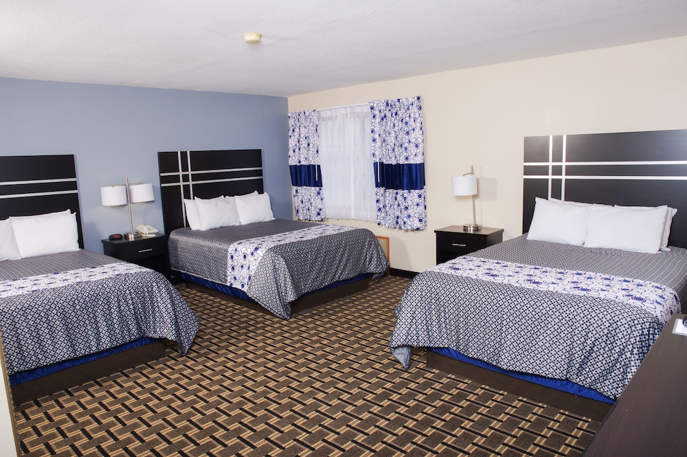 Dutch Inn and Suites - photo 11