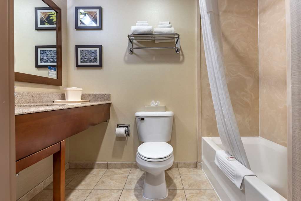 Comfort Inn & Suites Farmington Victor - photo 20